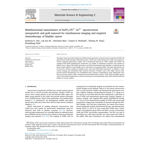 Online publication image