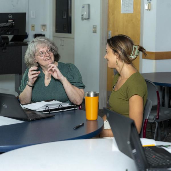 Engineering education faculty member Angela Bielfeldt discusses a project with a PhD student during class