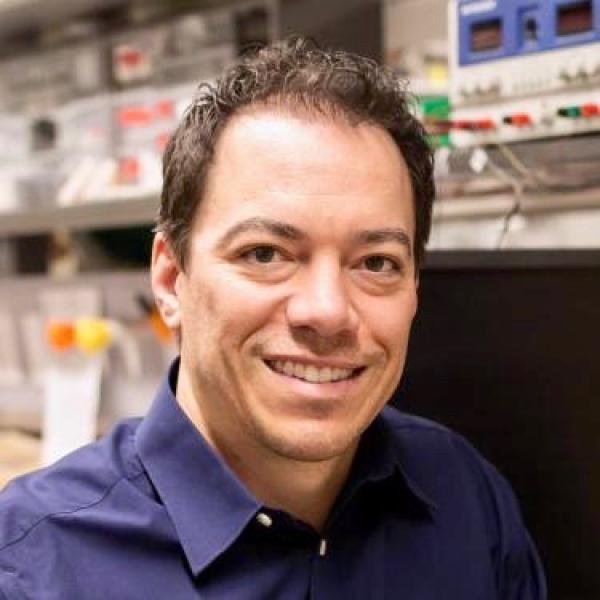 Mark Rentschler