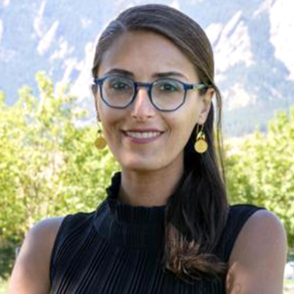 Shiideh Dashti