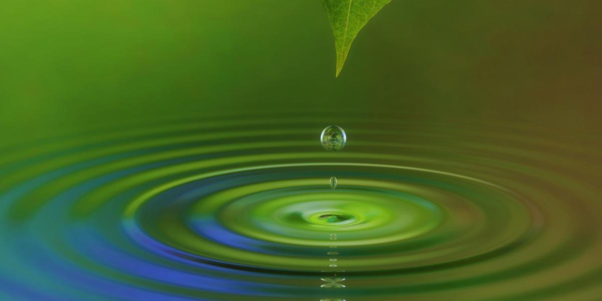 Water droplet off a leaf illustration