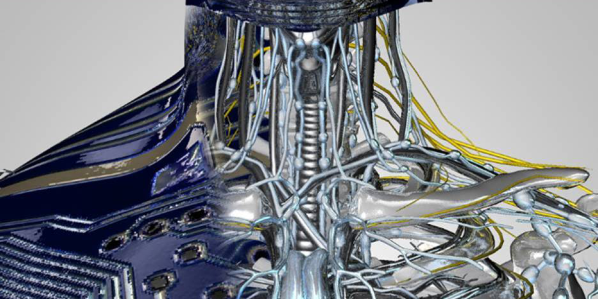 Multi-Functional Materials