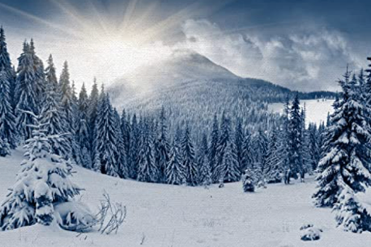 Snowy mountains and trees