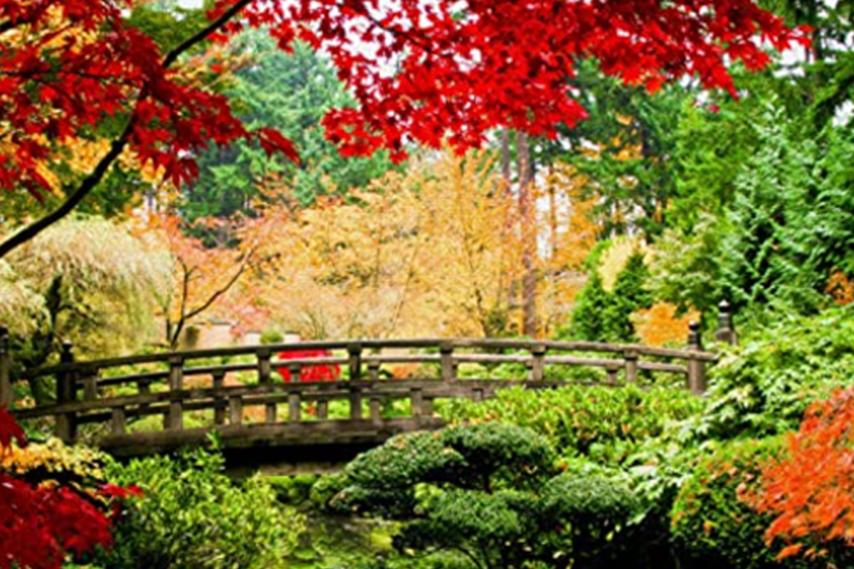 A bridge over a river