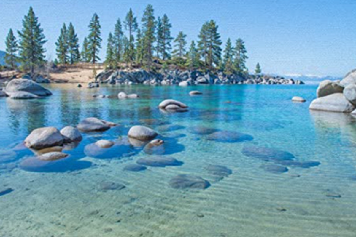 Clear blue water and an shore with trees