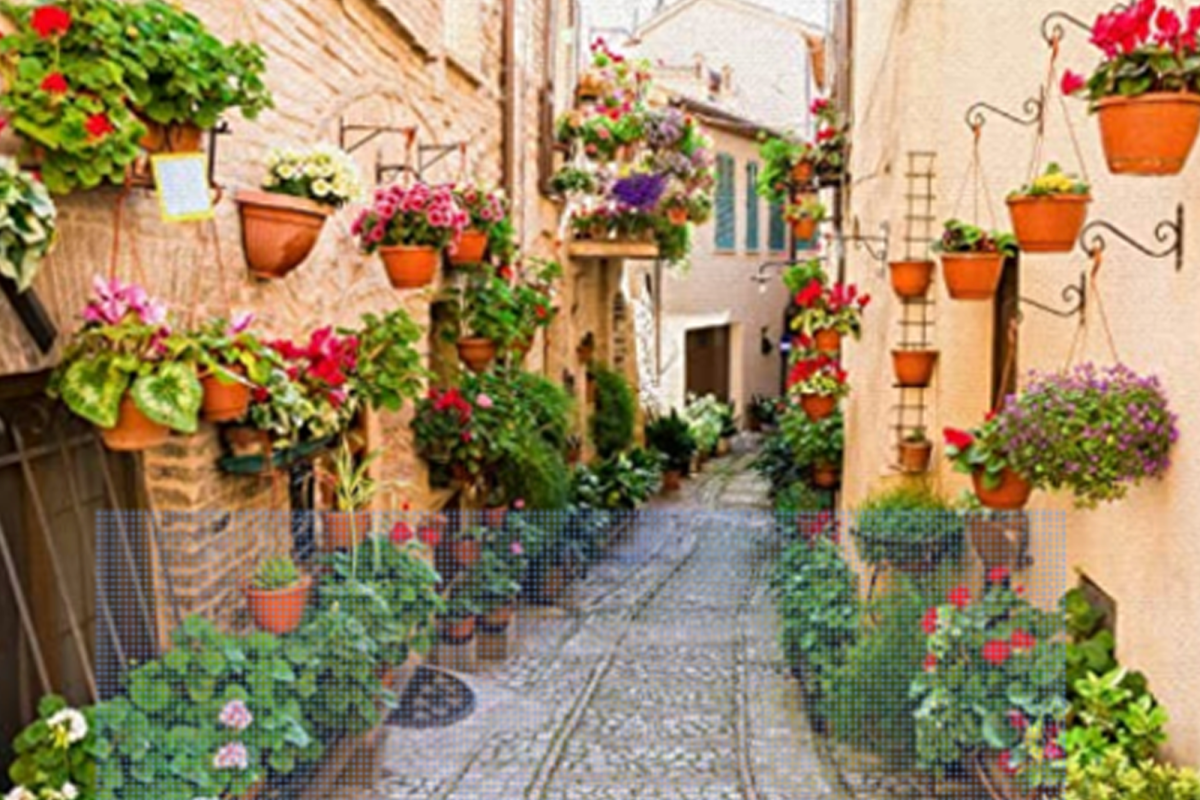 A narrow street with flowers under the windows