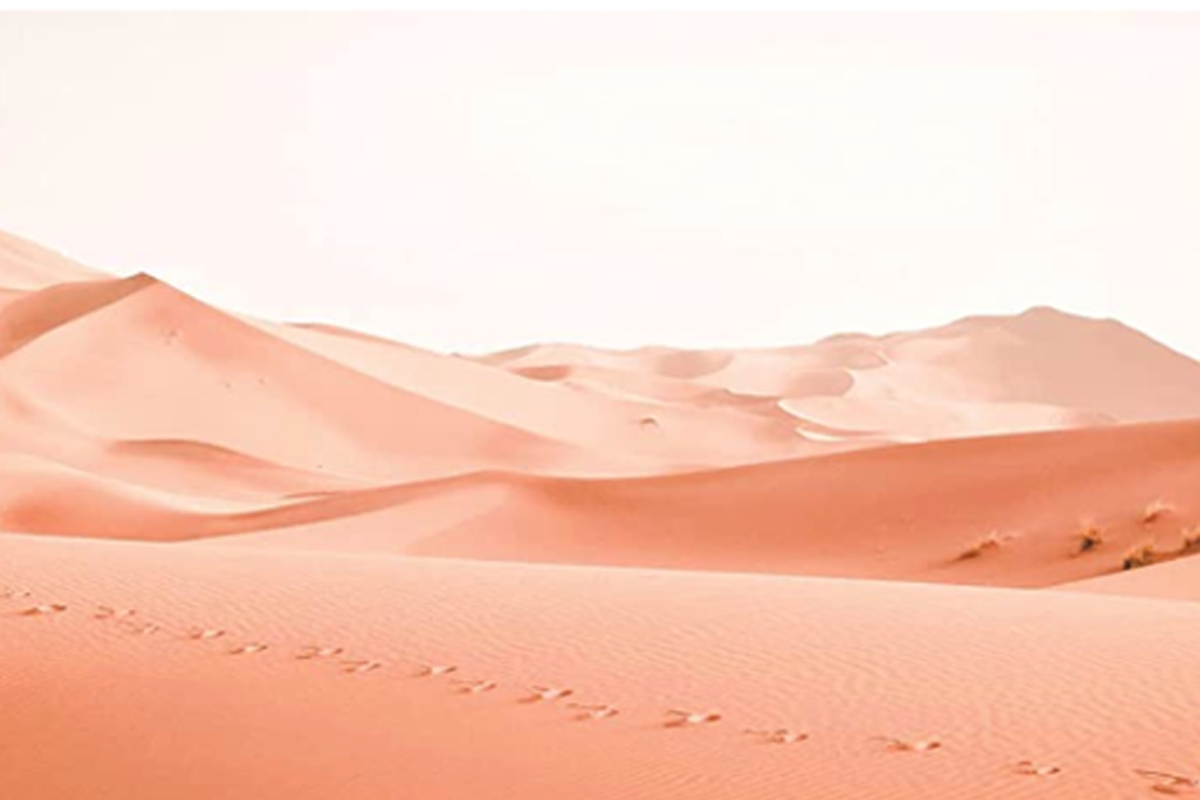 A pink desert with a clear sky