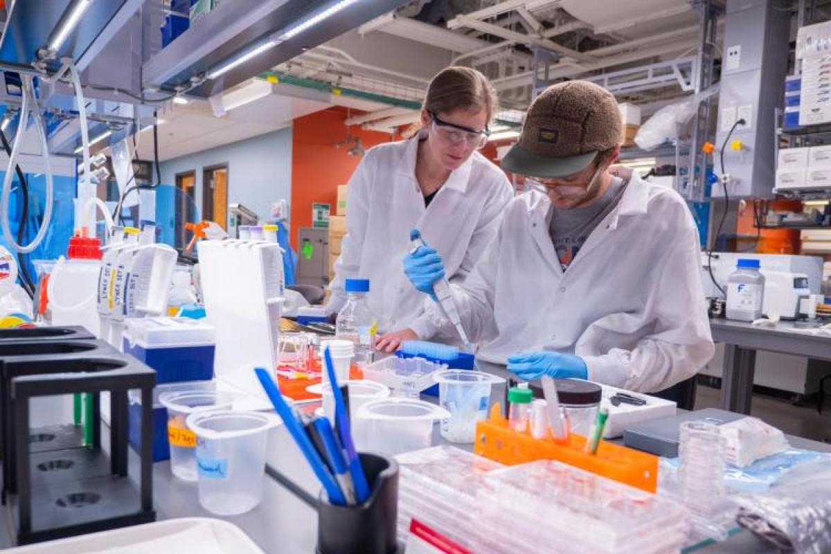 Students working in the lab