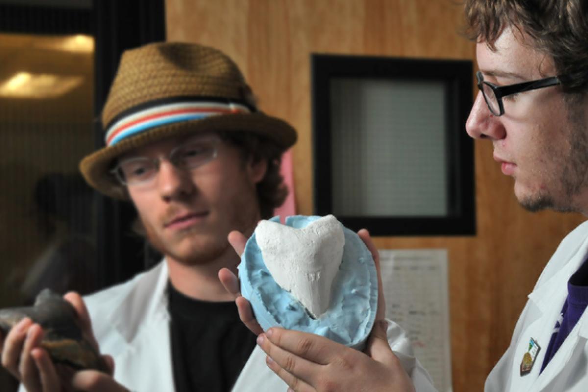 Two people with short hair stare intently at rocks