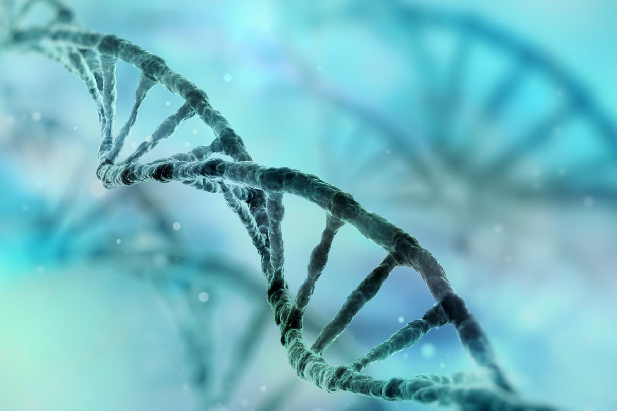 DNA Strand
