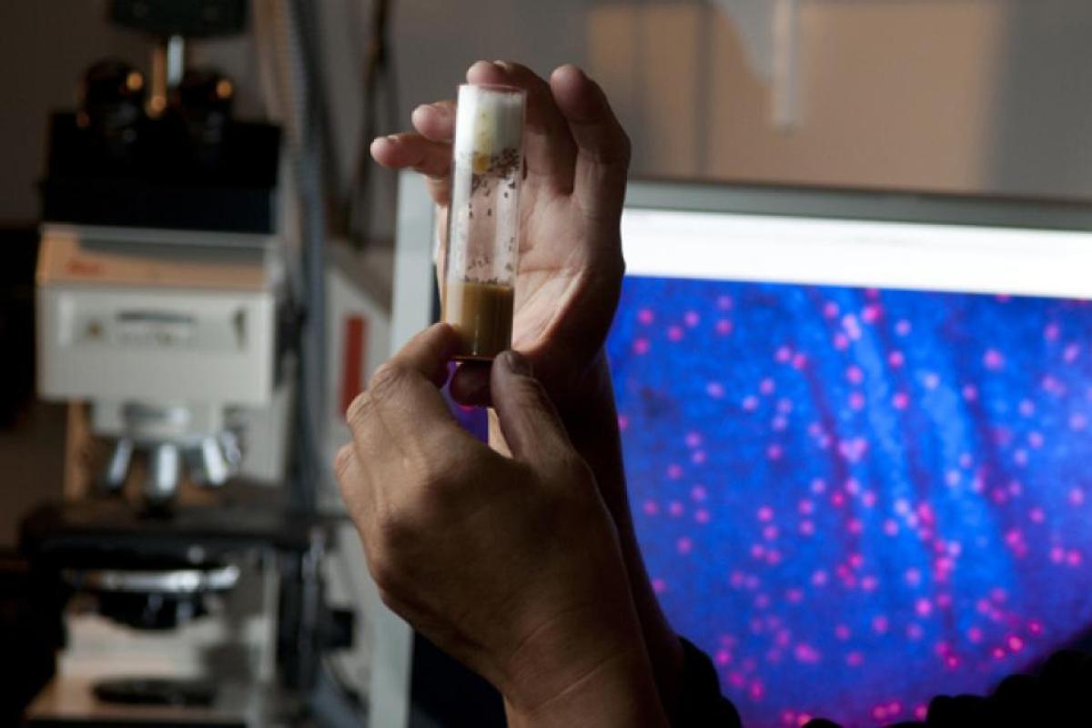 long-haired person with glasses stares intently at sample in test tube
