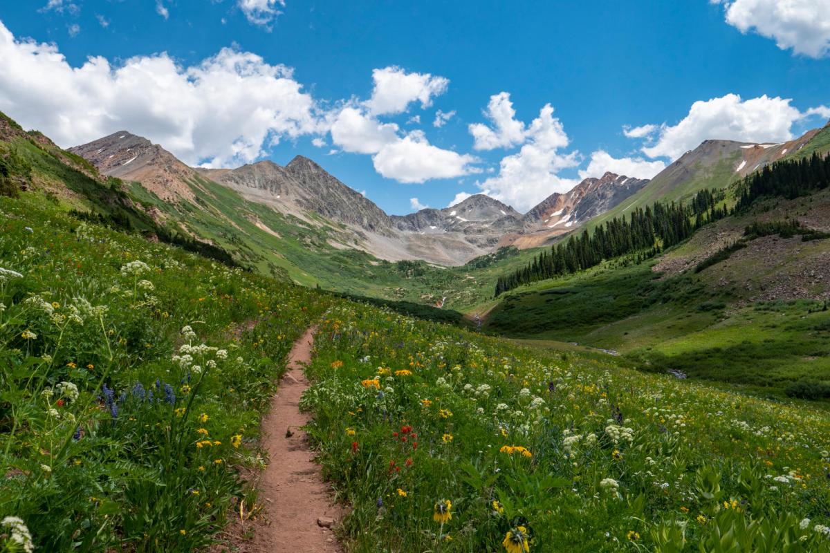 Rustler's Gulch Hike near Crested Butte