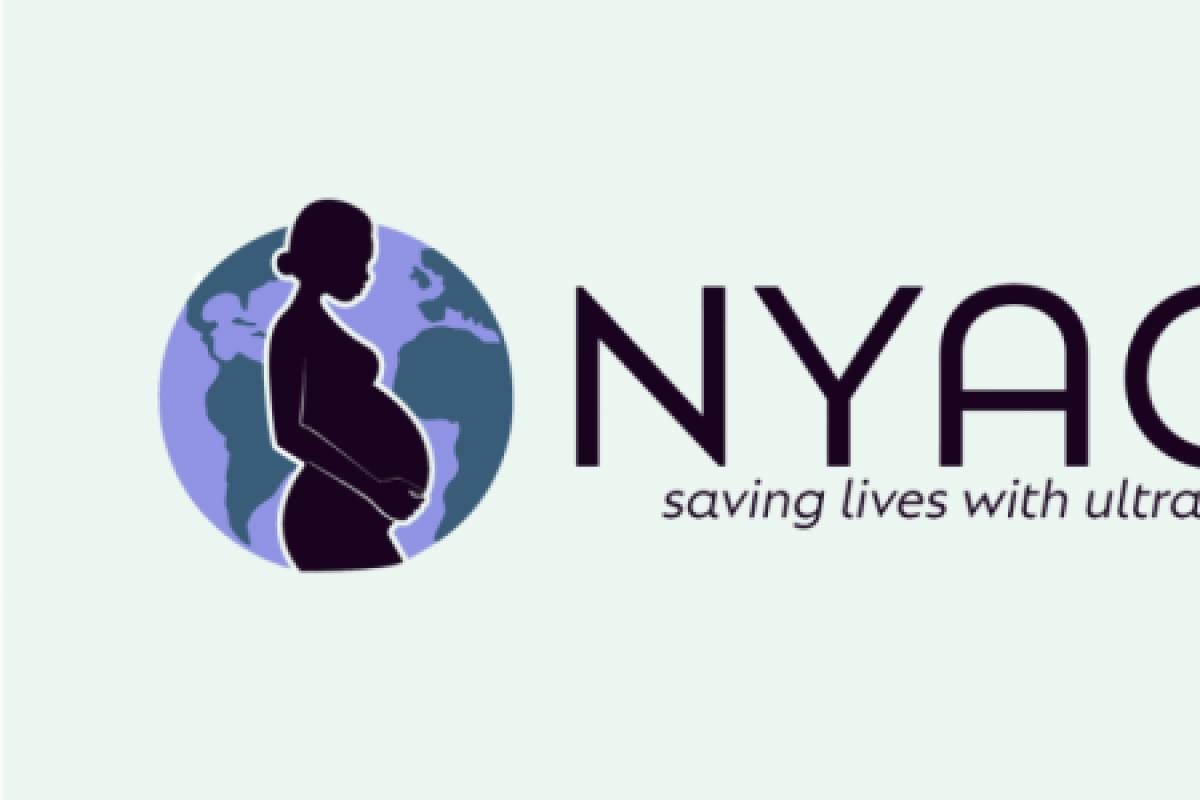 The Nyagi project