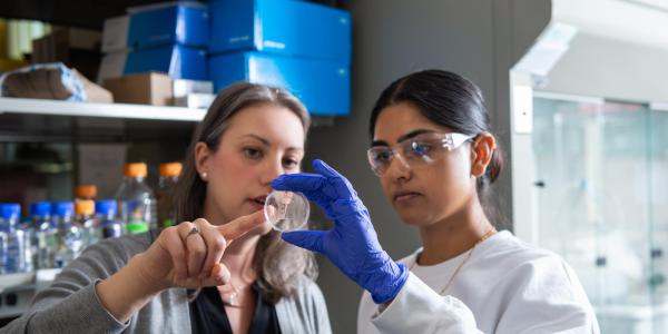 A professor and student working together in the lab 