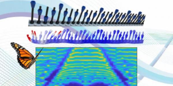 image showing the LEGO beam, a simulation illustrating a localized mode (vibrations localized at the left boundary), and the measured "Butterfly" spectrum.