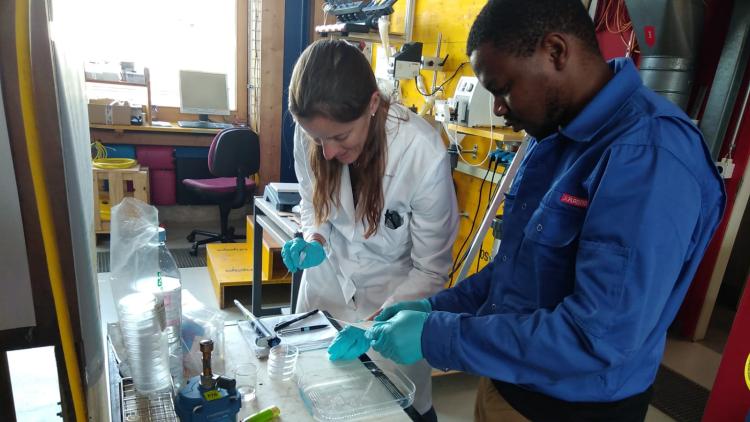 Sara Beck working in the lab