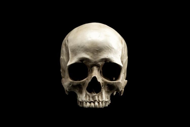 New wave technique allows for better understanding of the skull