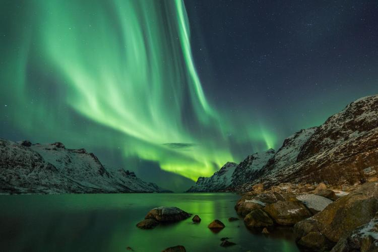 The aurora borealis is seen over winter landscapes