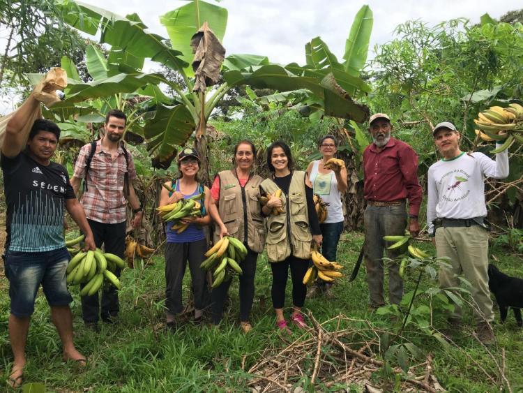 Students stand in forest in Brazil