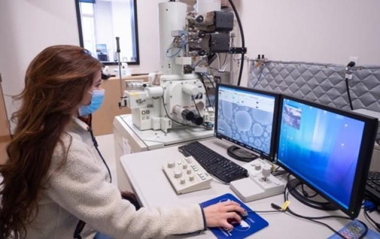 A student working in the lab