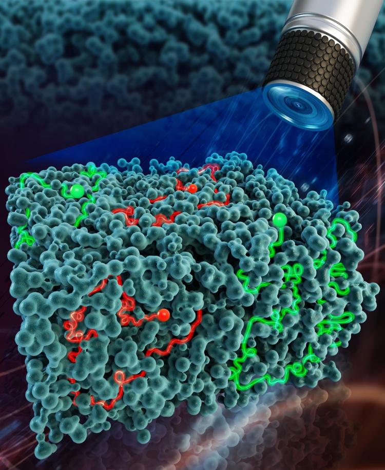 A microscope shining light on the system