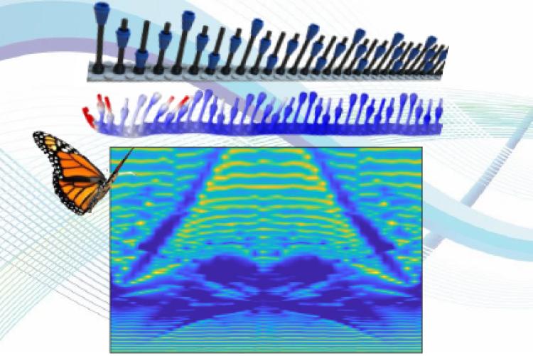 Graphic showing the LEGO bricks and wave forms