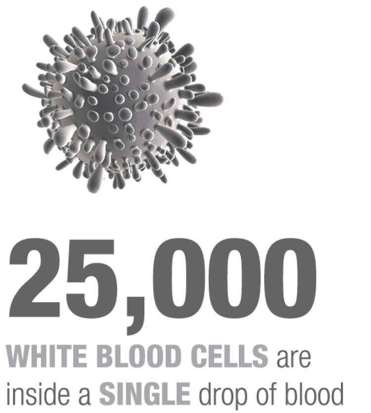virus graphic