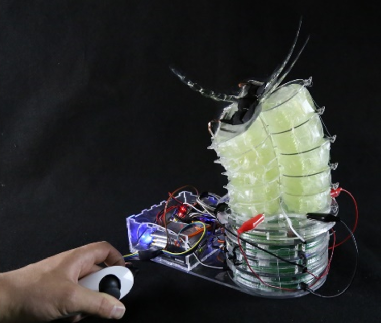 Hasel actuators in use with a hand holding the controls