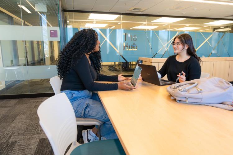 lattice program student mentor