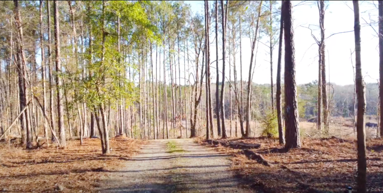 Land in Alabama for the project