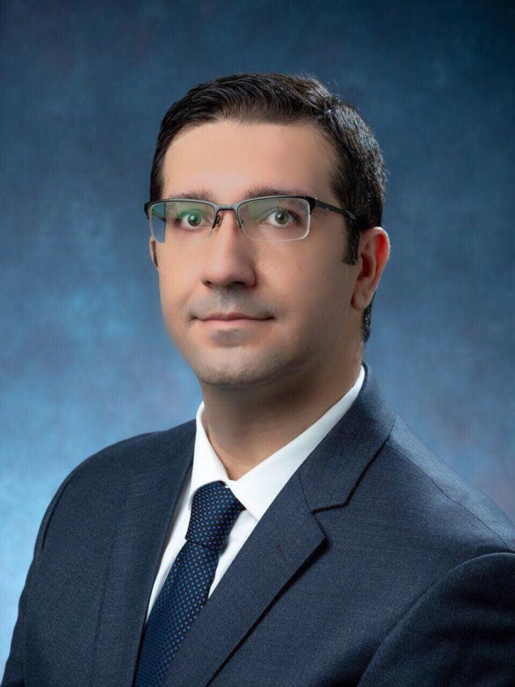 M. Amin Hariri-Ardebili