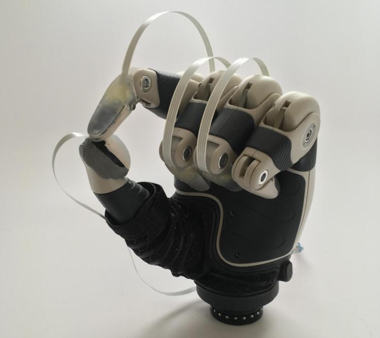 Robotic hand with fingertip sensors
