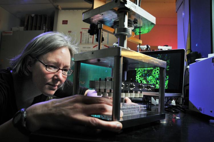 Bryant working in the lab