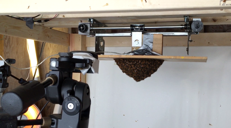 Swarm texting