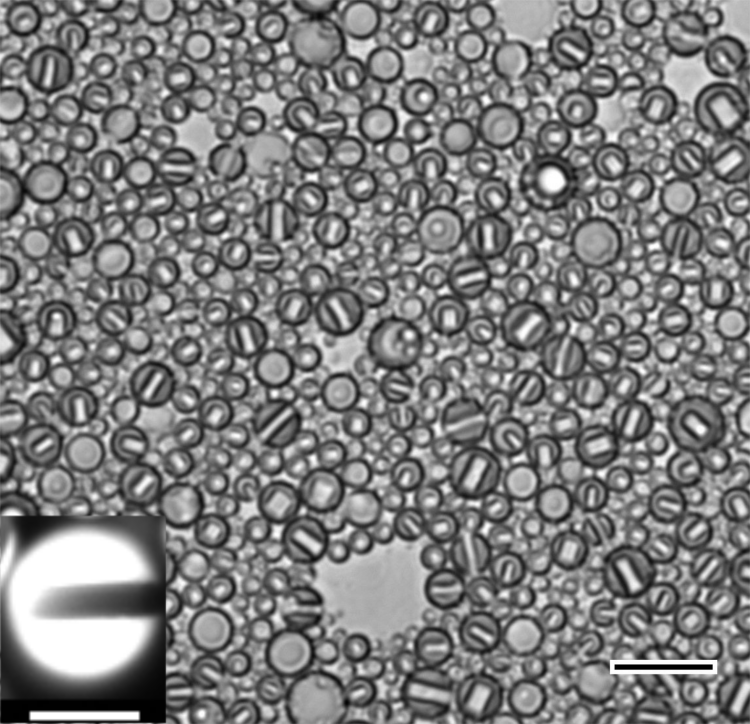 Vaporizable droplets seen up close