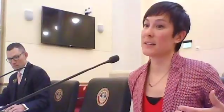 Christine Chang testimony screen shot