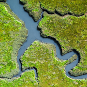 Aerial view of a wetlands area