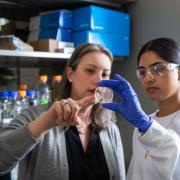 A professor and student working together in the lab 