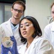 A faculty member shows three students a biologic sample in their lab