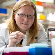 Kristi Anseth working in lab