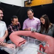 Mechanical engineering Associate Professor Mark Rentschler (far right) with graduate students (left to right) Levi Pearson, Greg Formosa and Micah Prendergast with an oversized version of a synthetic colon created as a senior design project. 