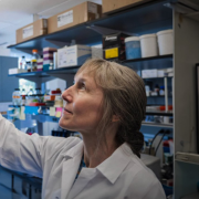 Corrie Detweiler, a professor of molecular, cellular and developmental biology, eyes some samples in the lab.