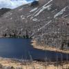Burned trees on a mountain side with a mountain lake beneath it.