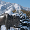 Snow covering a bison statue 