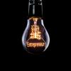 Lightbulb Entrepreneur 