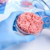 Hamburger in a petri dish held by gloved hands in a lab