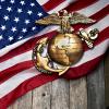 The navy lapel pin over a United States flag