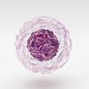 A cell 
