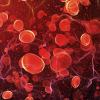 Blood in an artery
