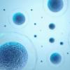Cells floating on blue background